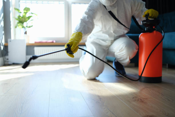 Reliable Odor Removal contractor in Groveland, FL by Trauma Clean Pros